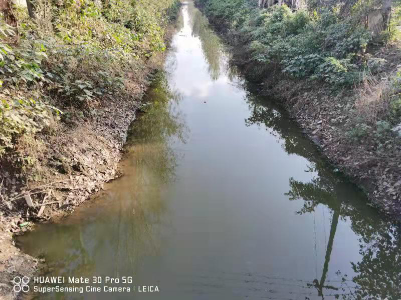 豐縣歡口鎮(zhèn)趙河涯大溝水生態(tài)修復(fù)工程